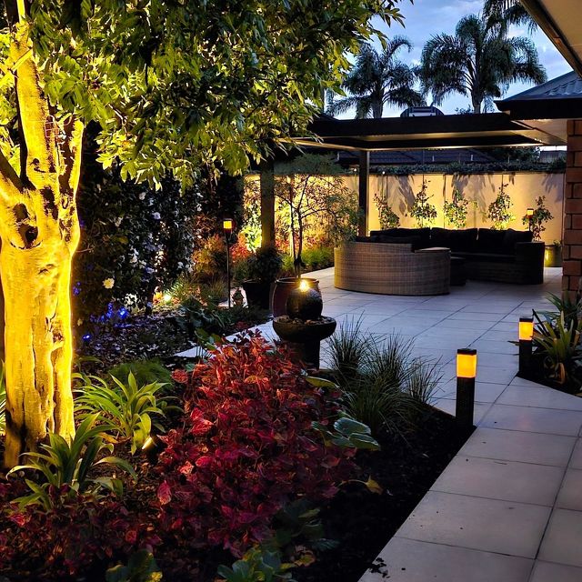 Garden beautifully lit by yellow lights